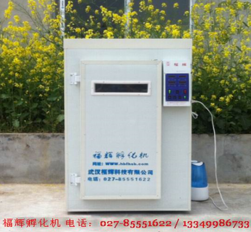 湖北京山孵化机设备案例孟老板